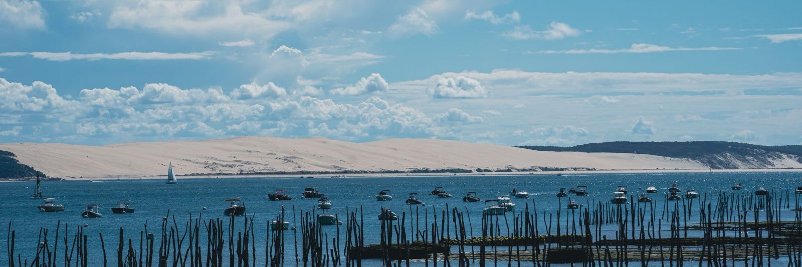 Parcs à huîtres du bassin d'Arcachon avec la dune du Pilat en arrière-plan